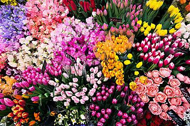 《废村散策会活动记录》登陆Steam 恐怖探索新游