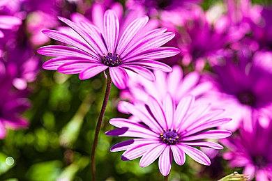 V社终于放手？《军团要塞2》开发者套件现已宣布