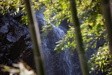 《叛变：沙漠风暴》“狂攻行动”发售预告 现已上线